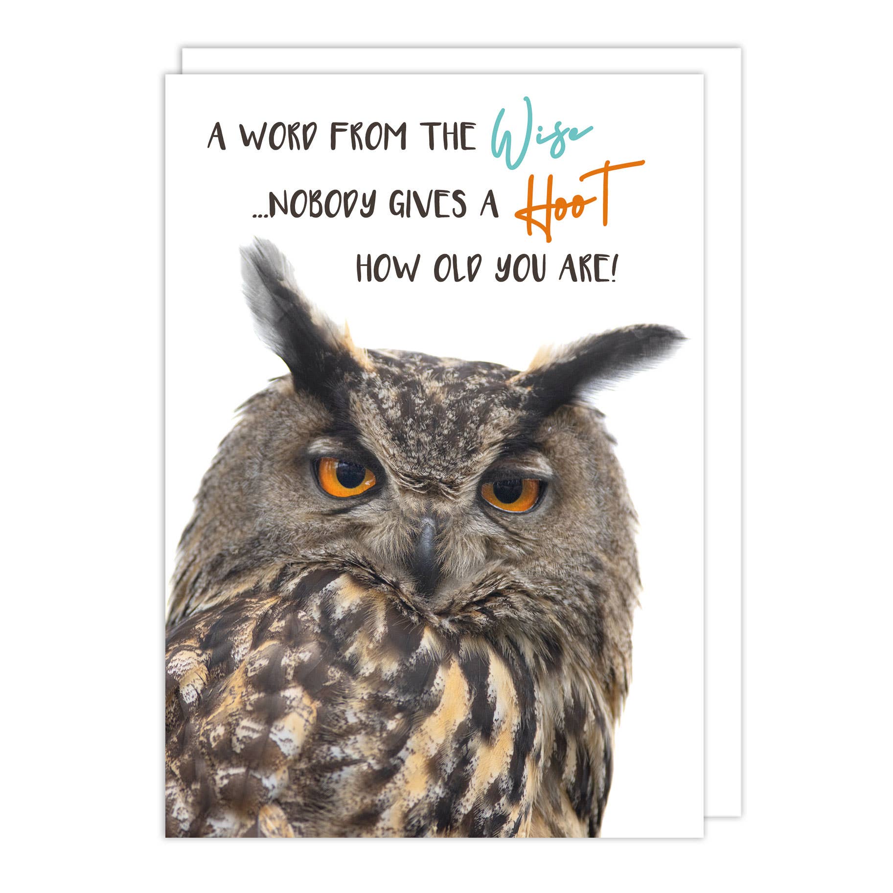 Give a hoot Birthday Card