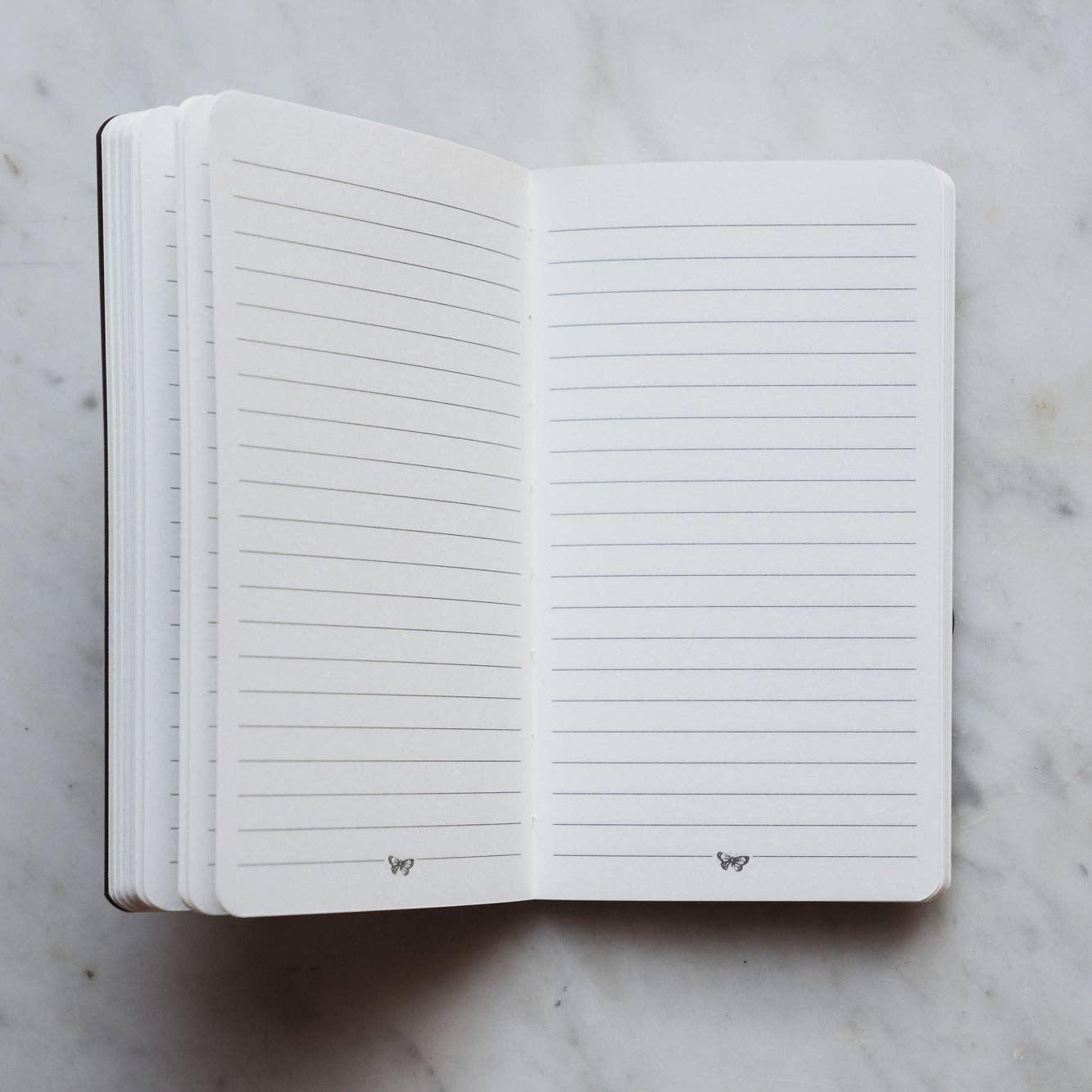 The Pocket Journal - The Rainbow