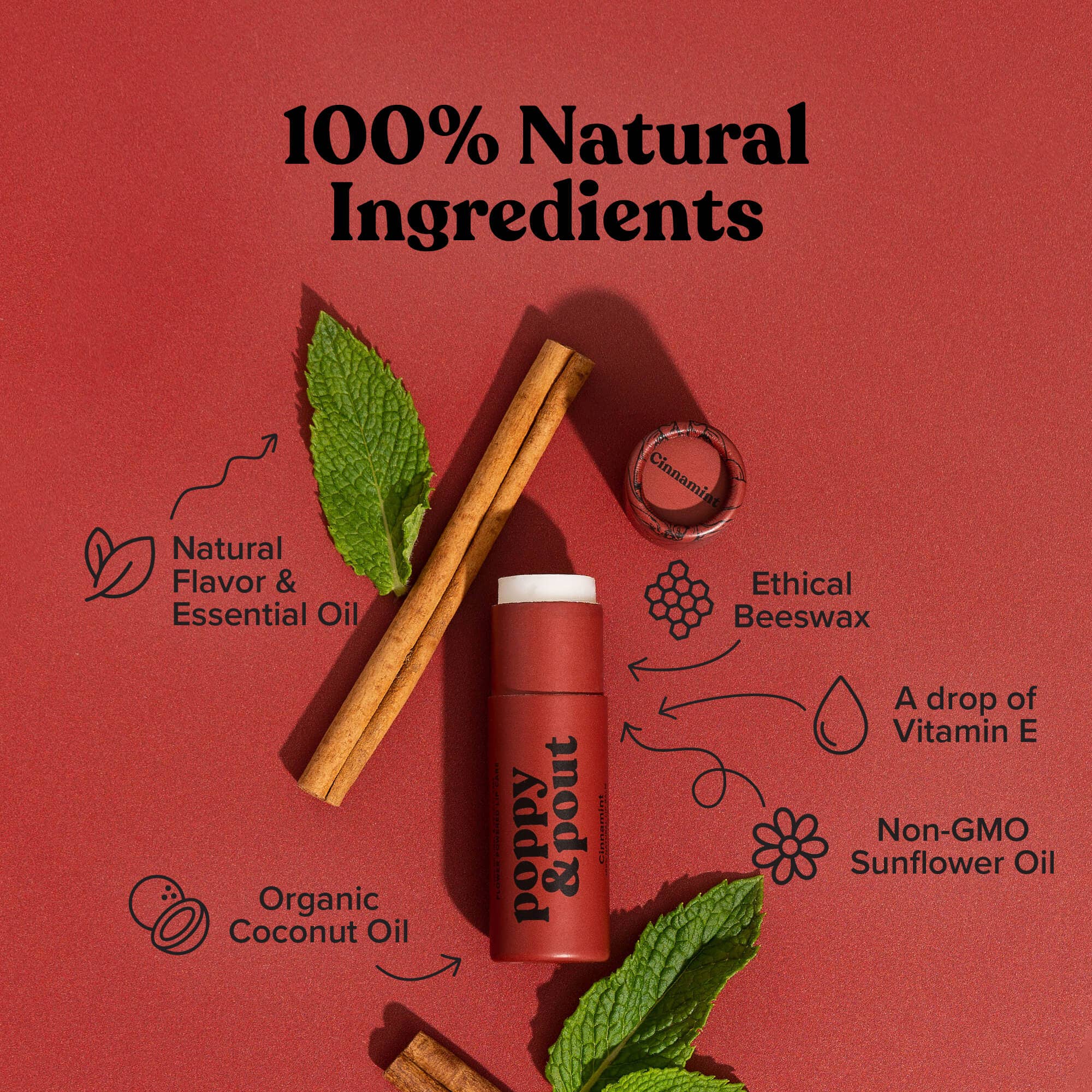 Cinnamint Lip Balm featuring cinnamon sticks and mint leaves, 100% natural, cruelty-free, and double-sized tubes. Handmade by Poppy & Pout in Idaho.