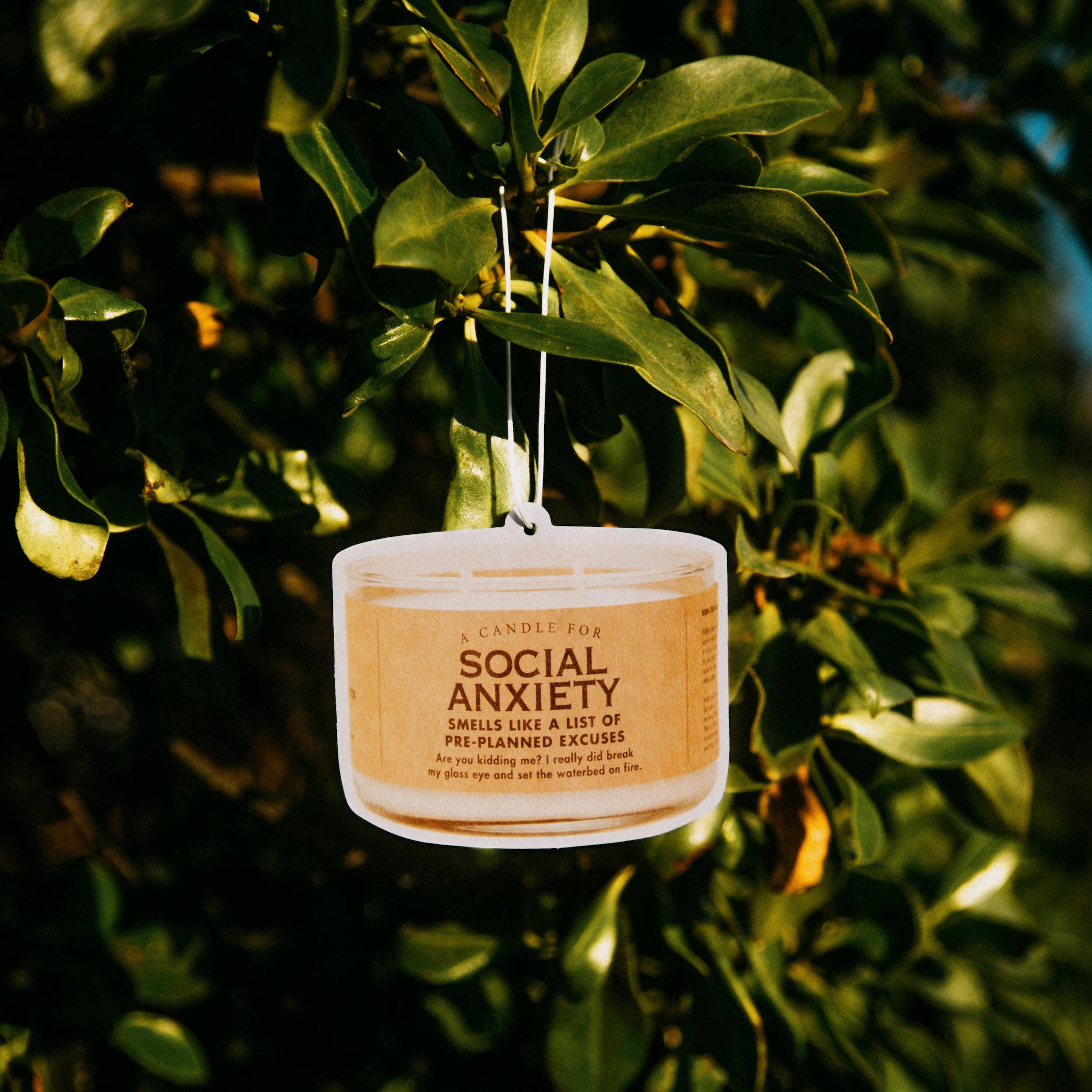 Social Anxiety Air Freshener | Funny Car Air Freshener